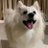 Profile image of Golfy | FB
