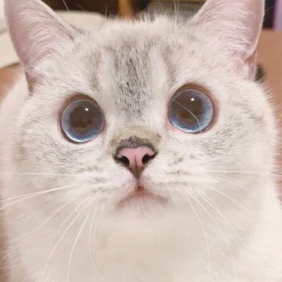 NUTTY_93_'s profile picture. Thailand 🇹🇭

|bts| |got7|