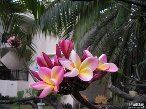 ir_svetlo's profile picture. Взаимный фолловинг