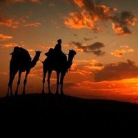 (ذاكرة التاريخ وأقوال العرب) (@fathalbary) 's Twitter Profile