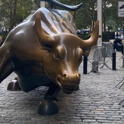 pedroza480's profile picture. 