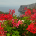 mouissat essaid (@mouissat_essaid) Twitter profile photo mouissat essaid (@mouissat_essaid) Twitter profile photo