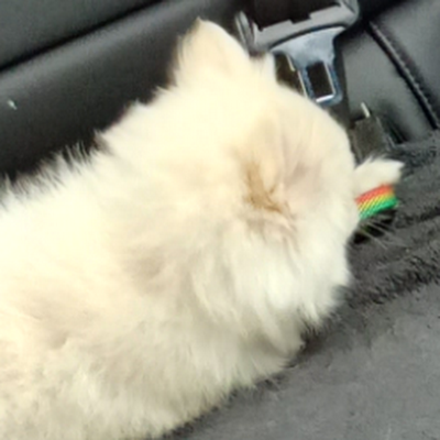 I64bit's profile picture. 