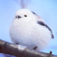 𝓢𝓾𝓲𝓻𝓲𝓼✩.* (@suiris_perfe) 's Twitter Profile Photo 𝓢𝓾𝓲𝓻𝓲𝓼✩.* (@suiris_perfe) 's Twitter Profile Photo