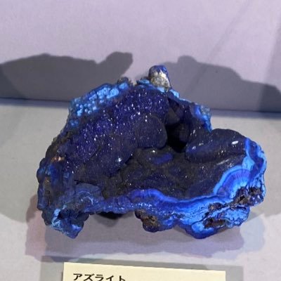 sasa_takuusagi's profile picture. 🐰さんの卓垢です FF外の同卓様たちがなんか楽しそうなので作りました アレクシスさんの中の人です その他のPCはピン留めのツリーへ