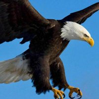 ازهر المالكي (@azhar_almaliki) Twitter profile photo