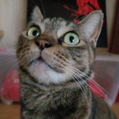 02iYc7GyoRfHGqx's profile picture. 趣味､気の合う友達探してます😊 徳島県西部に在住。 最近頭のハゲが気になって😥AGA試してます､体型は細マッチョかなぁ？と思います。 休日は､🍺飲み漫画､アニメ鑑賞､ゲームもある程度してます。おじさんですが仲良くしてくれる方がいたら嬉しいです😃※アプリ､サイト誘導される方からの連絡はお断りします※