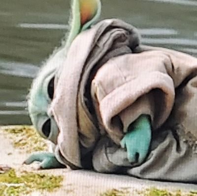 단디さんのプロフィール画像