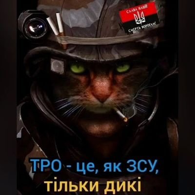 Biber550's profile picture. 