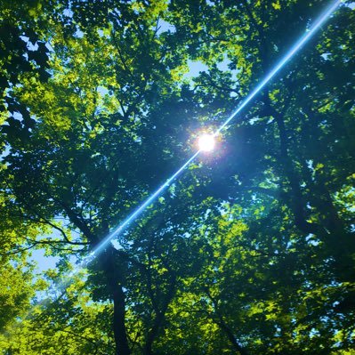 tk02538551's profile picture. 2020年から #単身赴任 。#資産運用 、#キャンプ 、#登山 、#パワースポット 、#温泉 、#サウナ、#お酒、#ロードバイク、#ハイエース………人生にワクワクを。 躊躇してたらただただ時間は過ぎる… 遅くはない、やってみよう！ 無言フォロー失礼致します😭