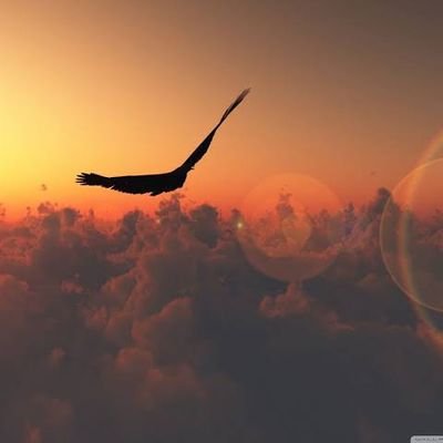 Niteshyadav2046's profile picture. Dreamer