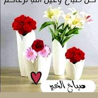 tatek sleem sleem (@sleemtatek) Twitter profile photo