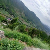 سیف علی (@sakhan65061444) 's Twitter Profile