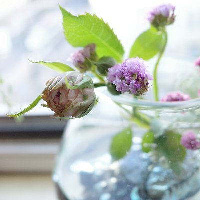 LaLa佐枝 LaLa佐枝 𝕃𝔸𝕃𝔸 🌷 (@lalachangram_) • Instagram photos and