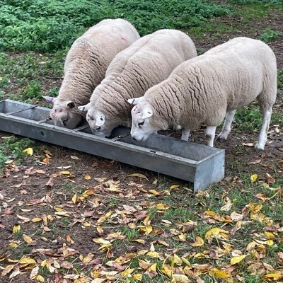 GordonDaviesMo1's profile picture. New life is required, something that makes me happy for once.