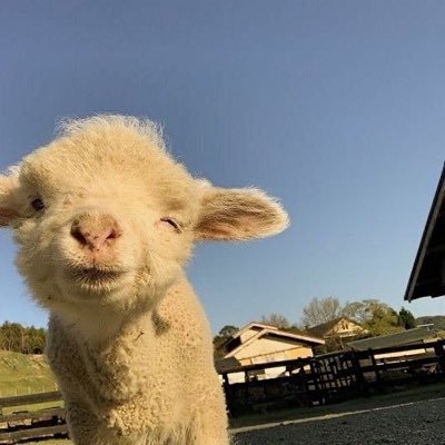 kim_klippert's profile picture. selos yan? hahahaha