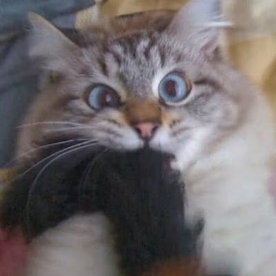 AnxietyArtistic's profile picture. Art.