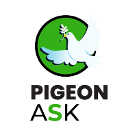 Pigeon Ask(@PigeonAsk) 's Twitter Profile Photo