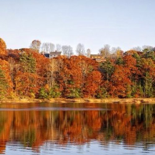 EstrellaIF's profile picture. Fisioterapeuta dedicada a la neurología infantil