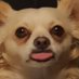 Daniel (@rekonzfps) Twitter profile photo Daniel (@rekonzfps) Twitter profile photo