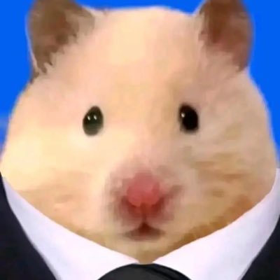 wngchunyng5's profile picture. 