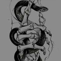 DragonGirlHP_DA (@dragongirlhp_da) 's Twitter Profile