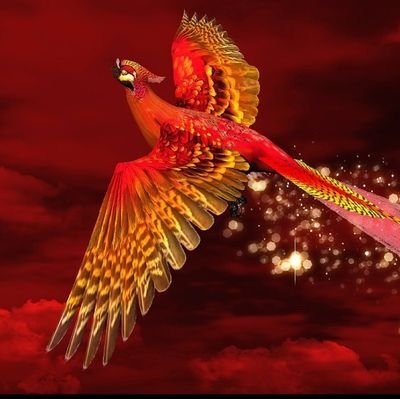 dayar369's profile picture. 