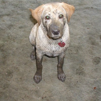 ShirlM17975642's profile picture. 🇺🇸 LOVE my Country, my boys, my husband. I'm a MAGA & believe in Truthfulness, no to the communist party that is turning USA into a shit hole. Love Trump 2024