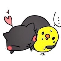 せば (@sk___13_) 's Twitter Profile