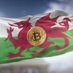Bitgeiniog (Welsh for Bitcoin) (@bitgeiniog) Twitter profile photo Bitgeiniog (Welsh for Bitcoin) (@bitgeiniog) Twitter profile photo