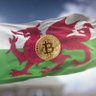 bitgeiniog's profile picture. Bitcoin | Free Wales 🏴󠁧󠁢󠁷󠁬󠁳󠁿 | Free Palestine 🇵🇸 | Homeschooling | Anarcho-environmentalist