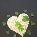 evangeline jacobs. - @evangelinejaco1 - Twitter