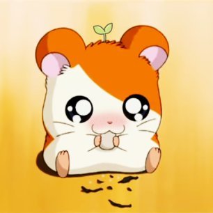 Lizさんのプロフィール画像