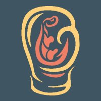 Salamander Esport (@salamanderfgc) 's Twitter Profile Photo Salamander Esport (@salamanderfgc) 's Twitter Profile Photo