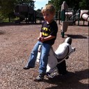 Holly Epstein - @HollyEpstein - Twitter