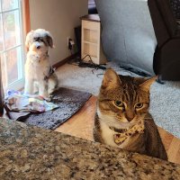 Casey Vallett (@caseyvallett) 's Twitter Profile