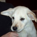 Darin Davis - @darinxi - Twitter