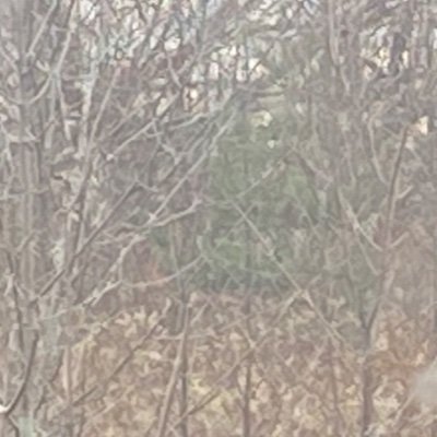 LookOutMac's profile picture. 