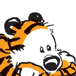 PT_P3's profile picture. Hobbes