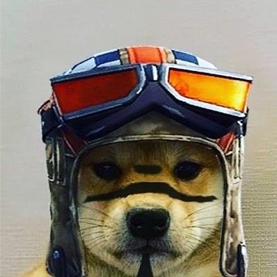 DanielL06304861's profile picture. 