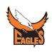 Eagles (@cricket_eagles) Twitter profile photo