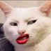 I Am A Cat That Sneers (@magsbennett65) Twitter profile photo I Am A Cat That Sneers (@magsbennett65) Twitter profile photo