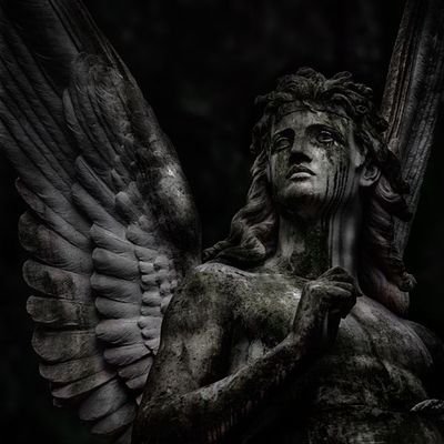 farda......................
Mujer de vida en libertad🤍🖤.