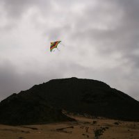 N (@noufalmaymuni) 's Twitter Profile