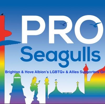 The official LGBTQ+ & Allies supporters group for Brighton and Hove Albion. Report any discrimination: 07880 196 442