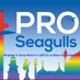 Proud Seagulls (@ProudSeagulls) Twitter profile photo