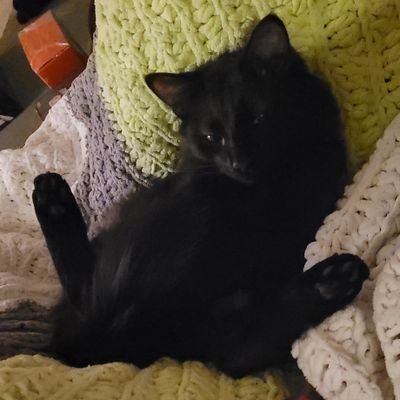 CXH404's profile picture. 