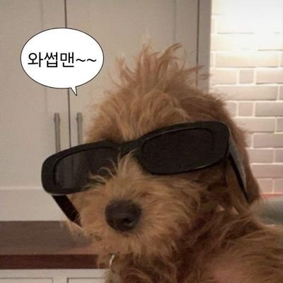 makepi11's profile picture. 일탈계_ INTP / 대전.논산 / 남 / 2n / 178.9 
배우고 싶은거 욕심많음