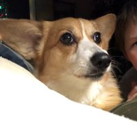 Mountain SQL (@mountainsql) 's Twitter Profile