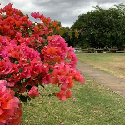 afrah_s_alharbi's profile picture. Interested in Data Science & Health Informatics. Bachelor's degree in Computer Science(IS). Master's degree in Health Informatics.(PMP®)(RMP®)